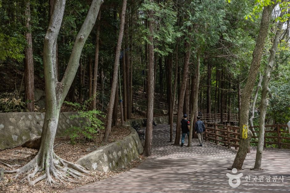 부산_성지곡수원지 (8)