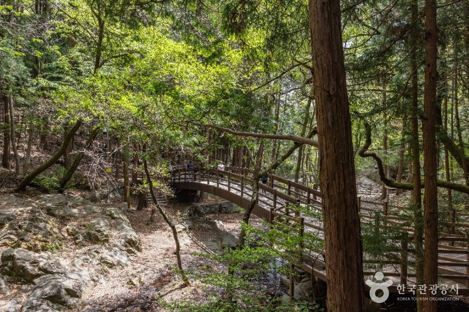 부산_성지곡수원지 (9)