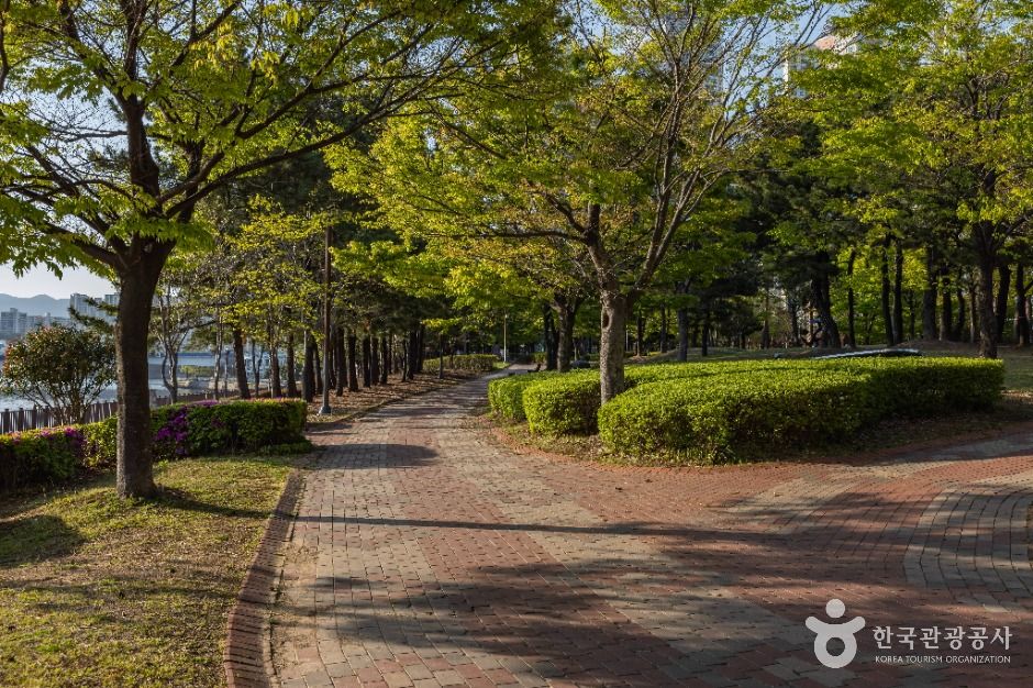 부산_센텀 APEC나루공원 (3)