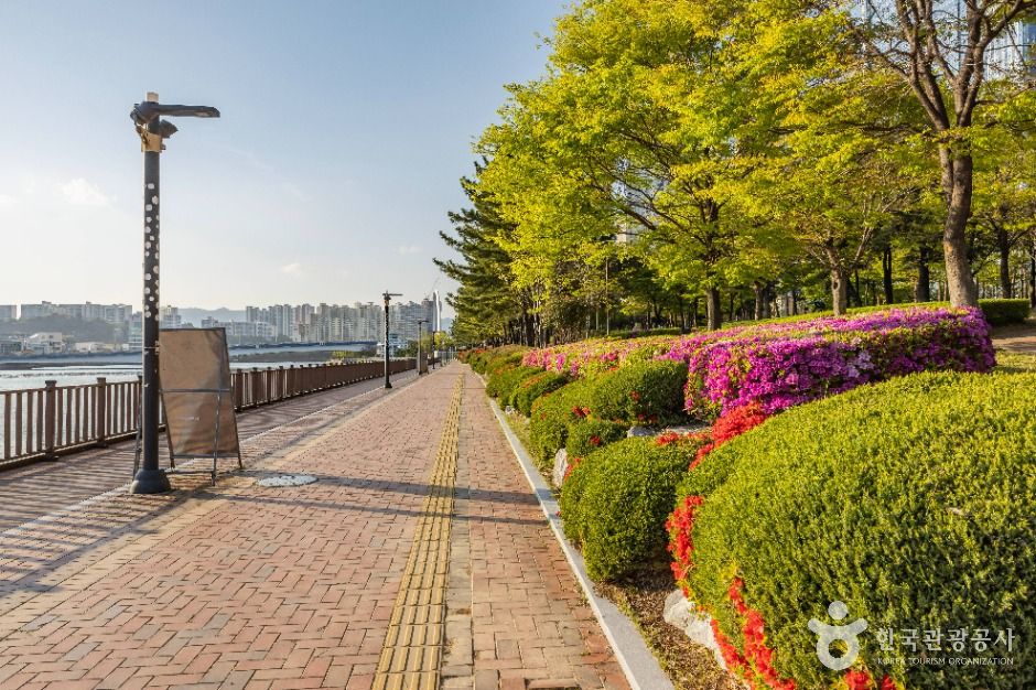 부산_센텀 APEC나루공원 (4)