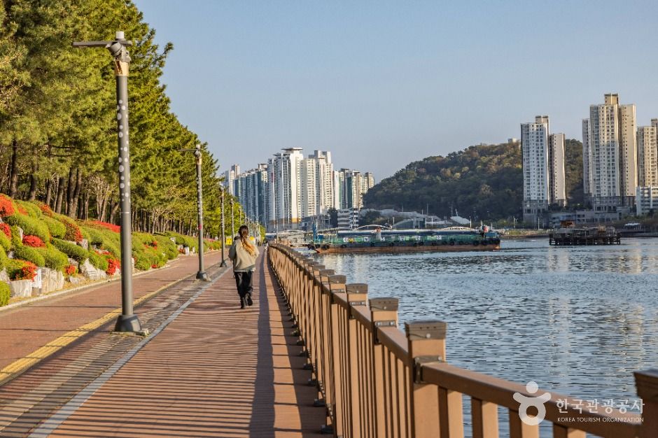 부산_센텀 APEC나루공원 (7)