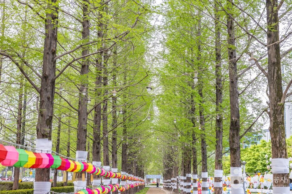 부산_송상현광장 (4)