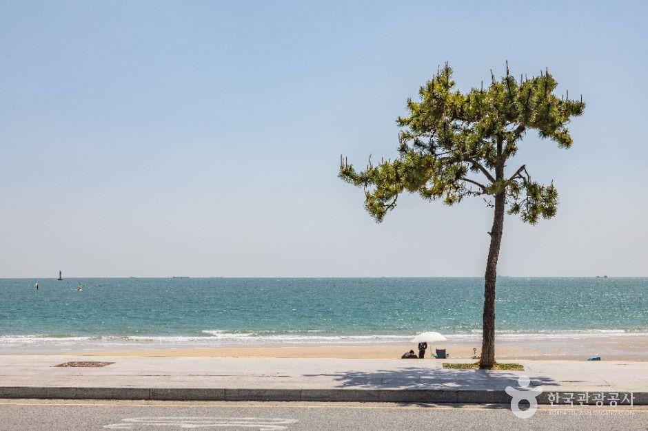 부산_송정해수욕장 (2)