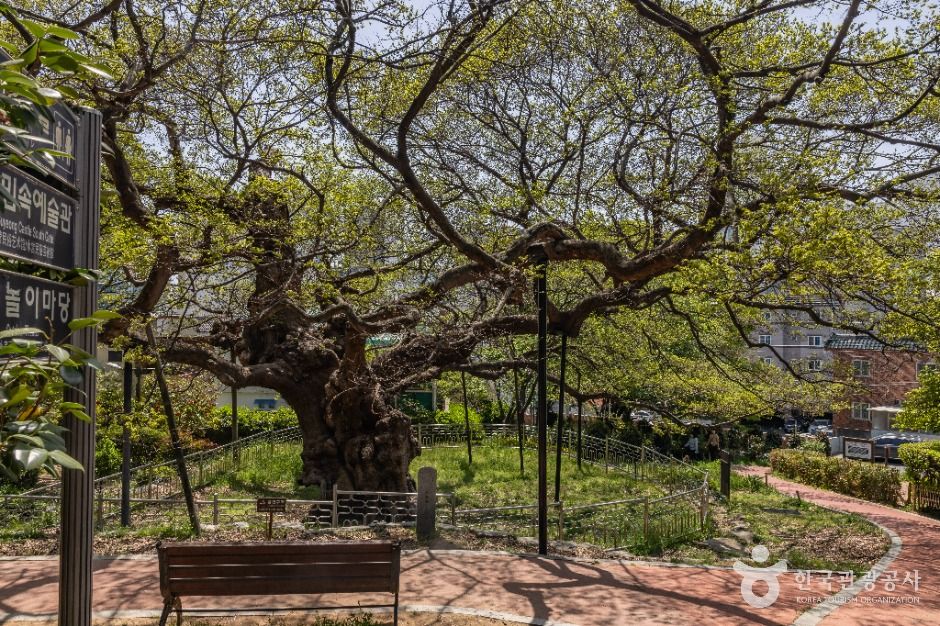부산_수영사적공원 (8)