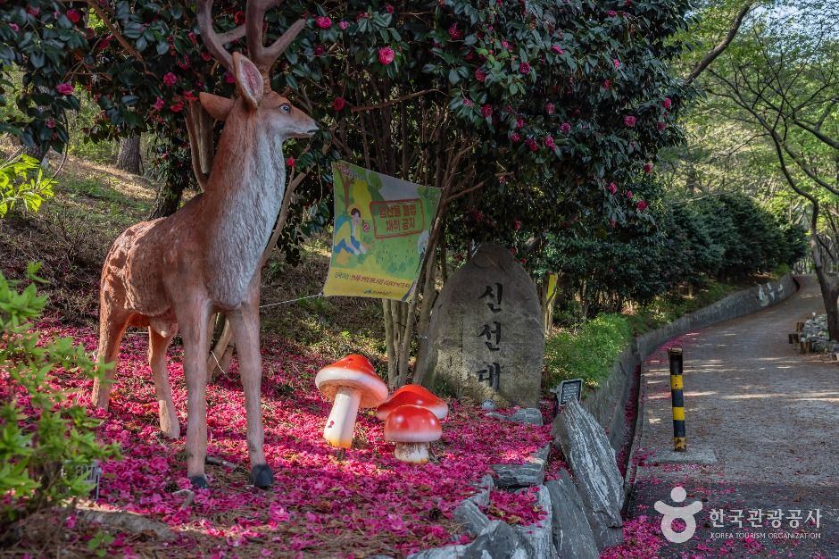 부산_신선대(부산) (4)