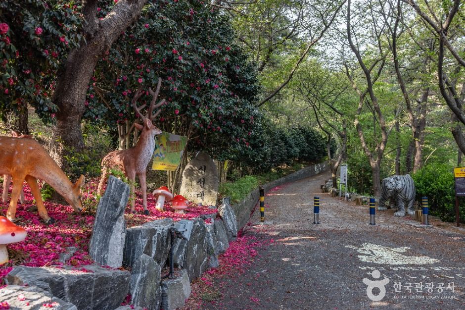부산_신선대(부산) (6)