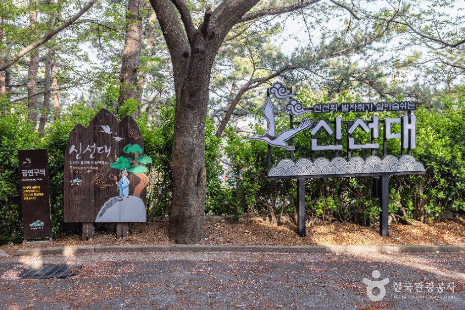 부산_신선대(부산) (7)