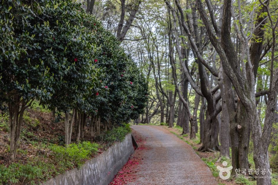 부산_신선대(부산) (8)