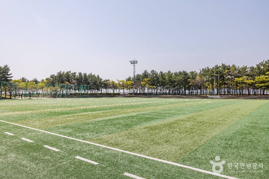 부산_신호공원 (4)