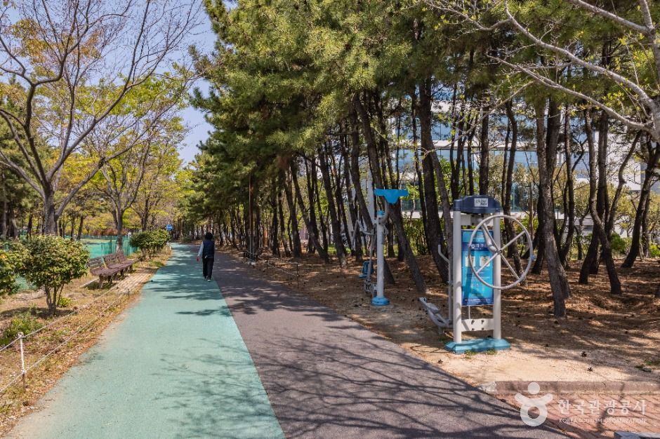 부산_신호공원 (5)