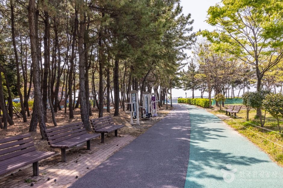 부산_신호공원 (6)