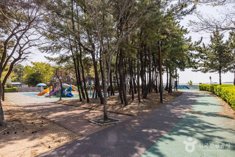 부산_신호공원 (7)