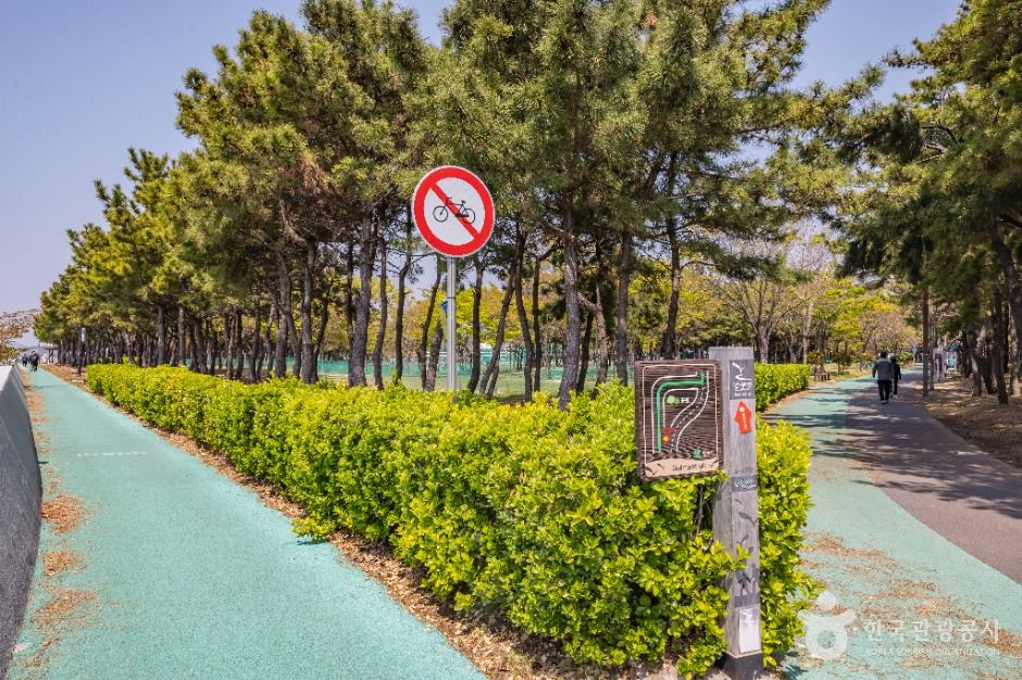 부산_신호공원 (9)