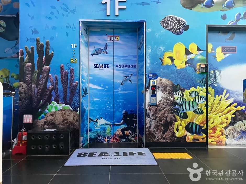 부산씨라이프아쿠아리움_5