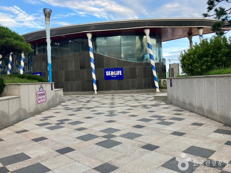 부산씨라이프아쿠아리움_6