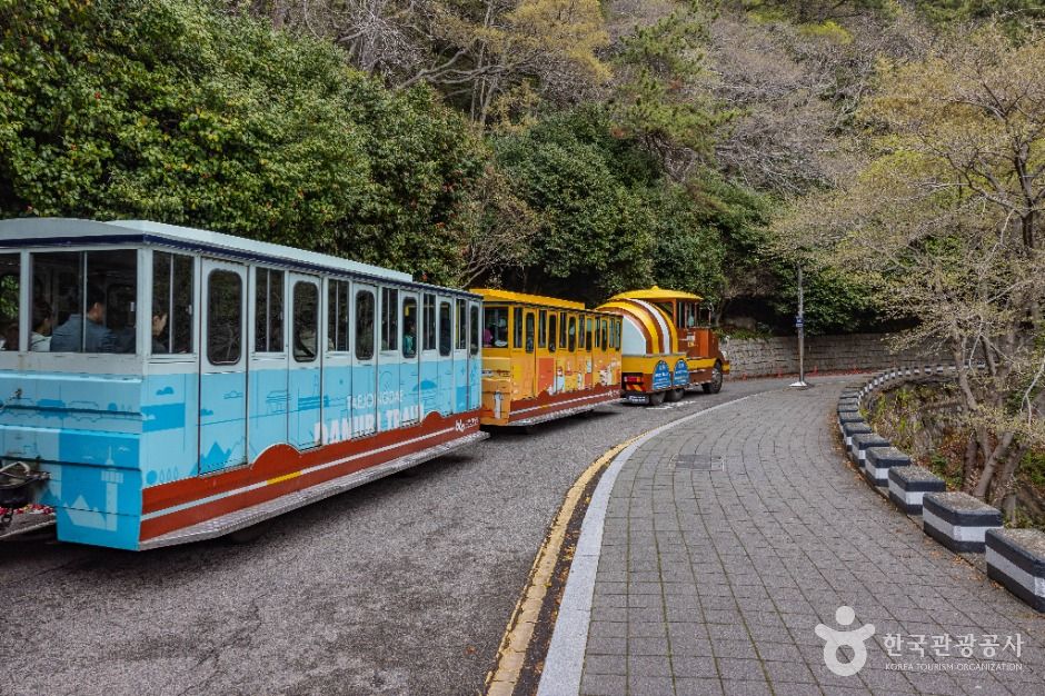 부산_영도등대 (15)