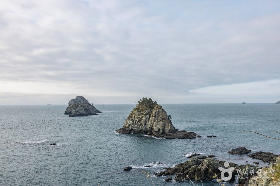 부산_오륙도 (부산 국가지질공원) (2)