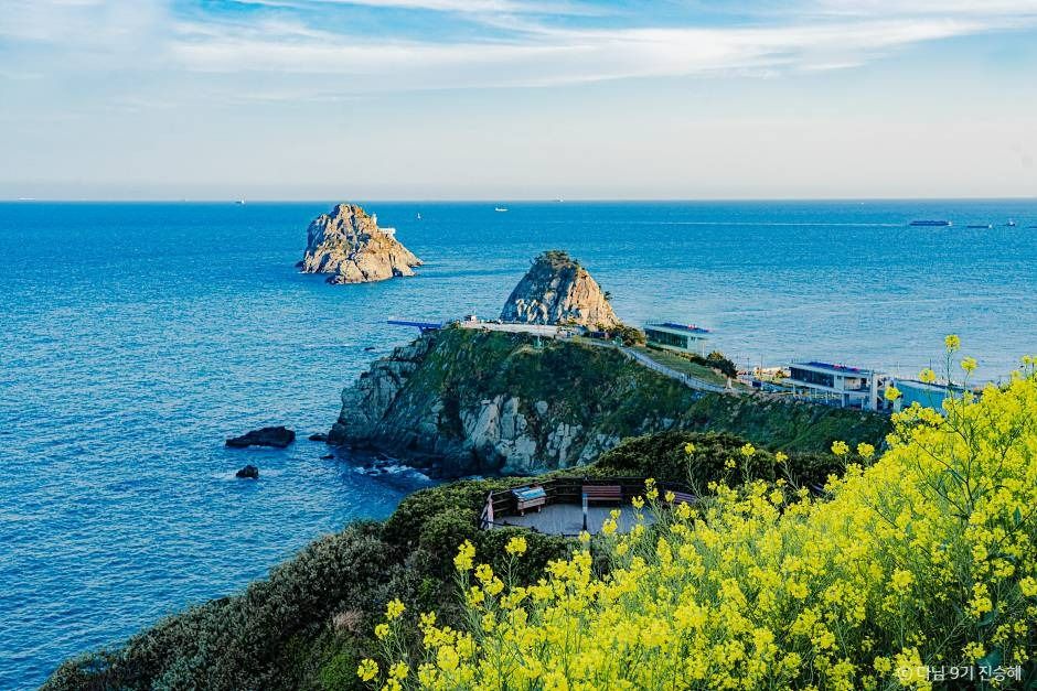 [SNS] 부산 가볼 만한 곳, 오션뷰 트래킹 여행지 4-1