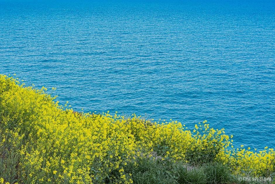 [SNS] 부산 가볼 만한 곳, 오션뷰 트래킹 여행지 4-8