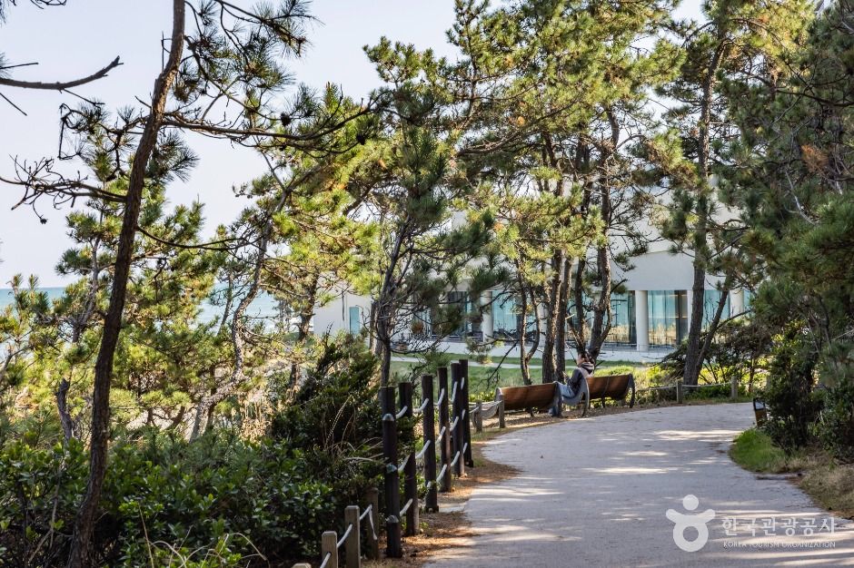 부산_오시리아 해안산책로 (3)