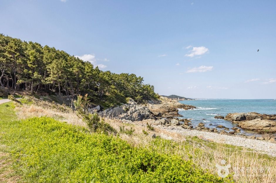 부산_오시리아 해안산책로 (6)