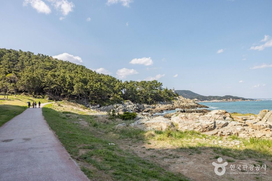 부산_오시리아 해안산책로 (7)