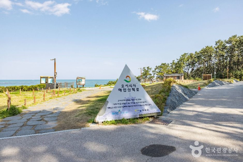 부산_오시리아 해안산책로 (11)