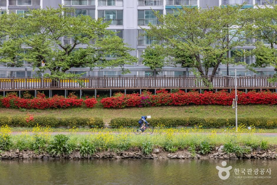 부산__온천천시민공원 (15)