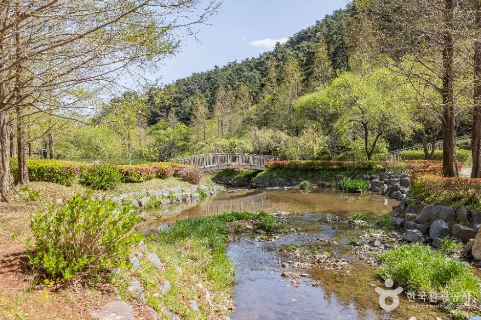 부산_용소웰빙공원 (4)