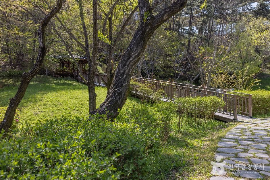 부산_용소웰빙공원 (7)