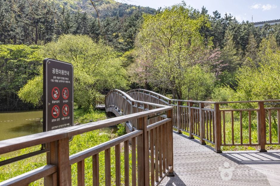 부산_용소웰빙공원 (10)