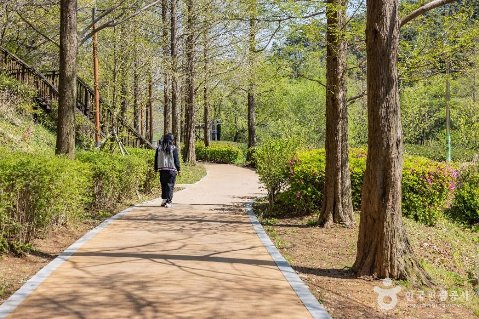 부산_용소웰빙공원 (11)