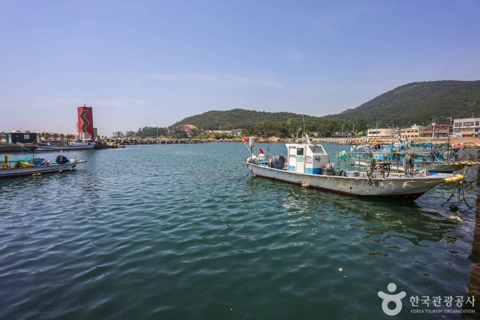 월전포구(월전방파제) (2)