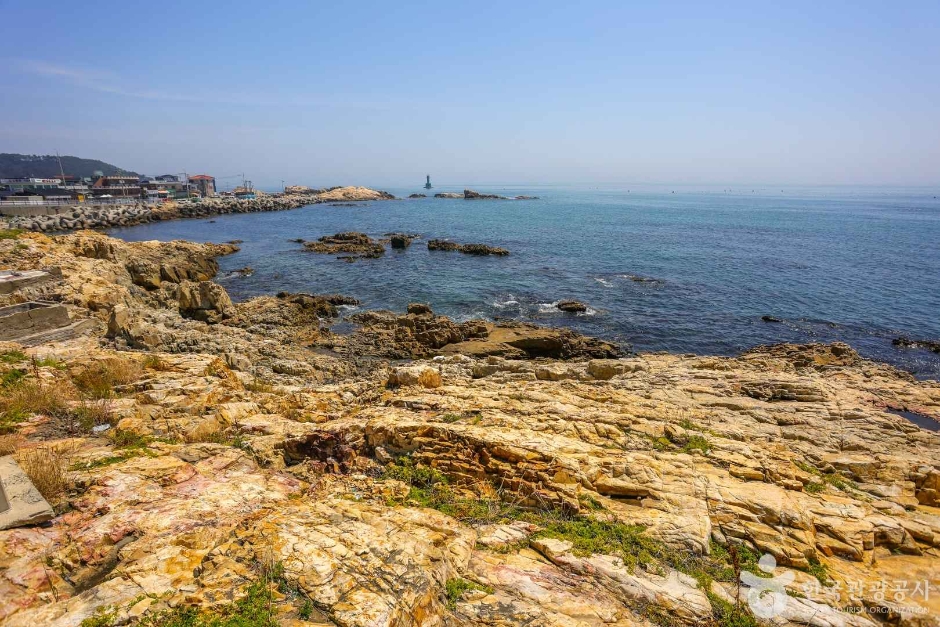 월전포구(월전방파제) (4)