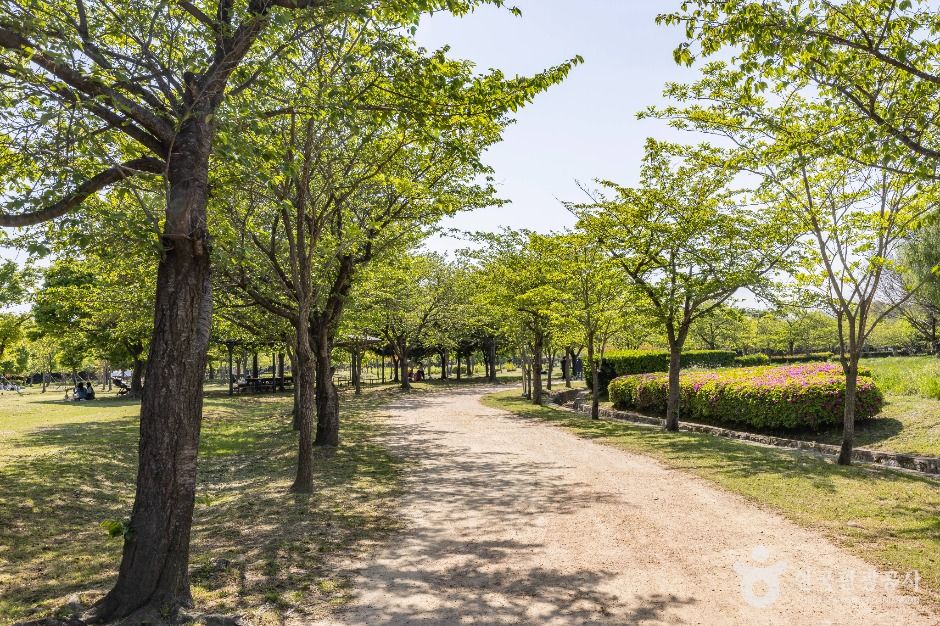 부산_을숙도공원 (15)