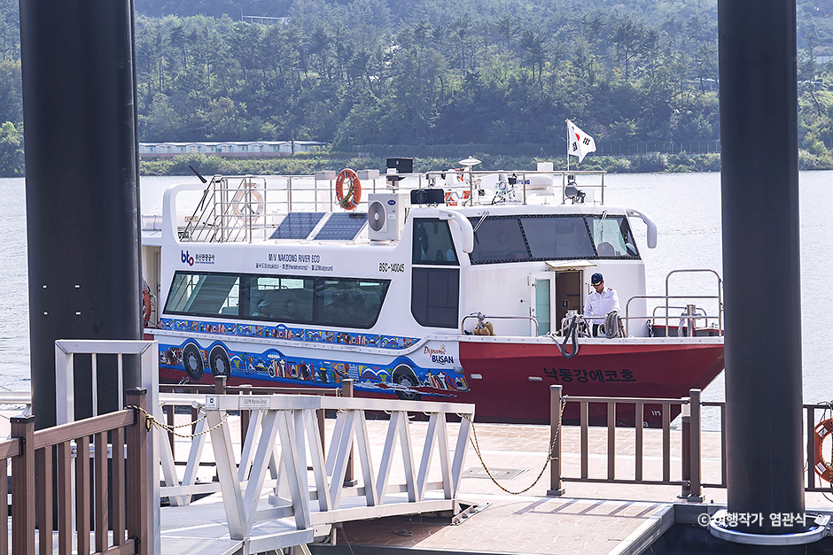 낙동강 생태탐방선