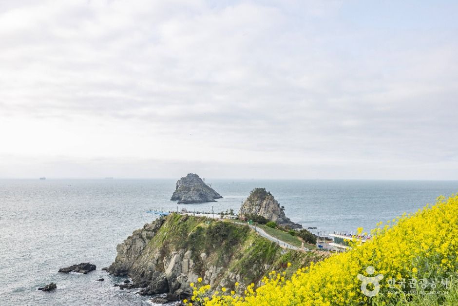 부산_이기대 (부산 국가지질공원) (6)