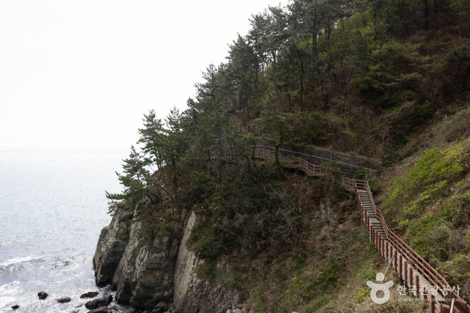 부산_이기대 (부산 국가지질공원) (12)