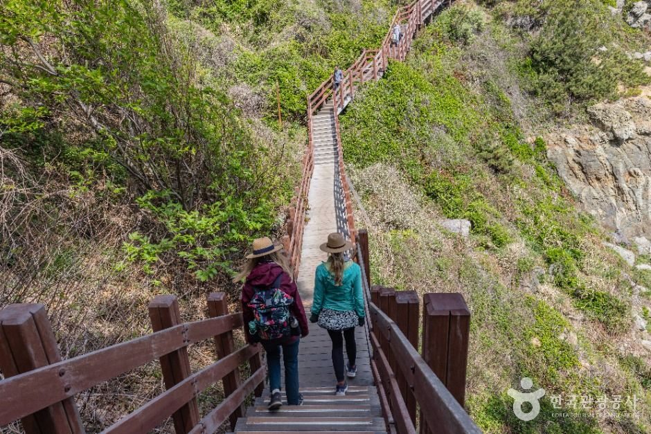 부산_이기대 (부산 국가지질공원) (14)