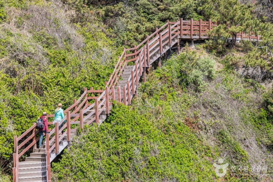 부산_이기대 (부산 국가지질공원) (15)