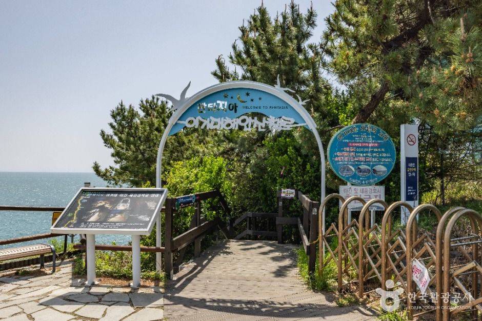 부산_이기대 (부산 국가지질공원) (18)