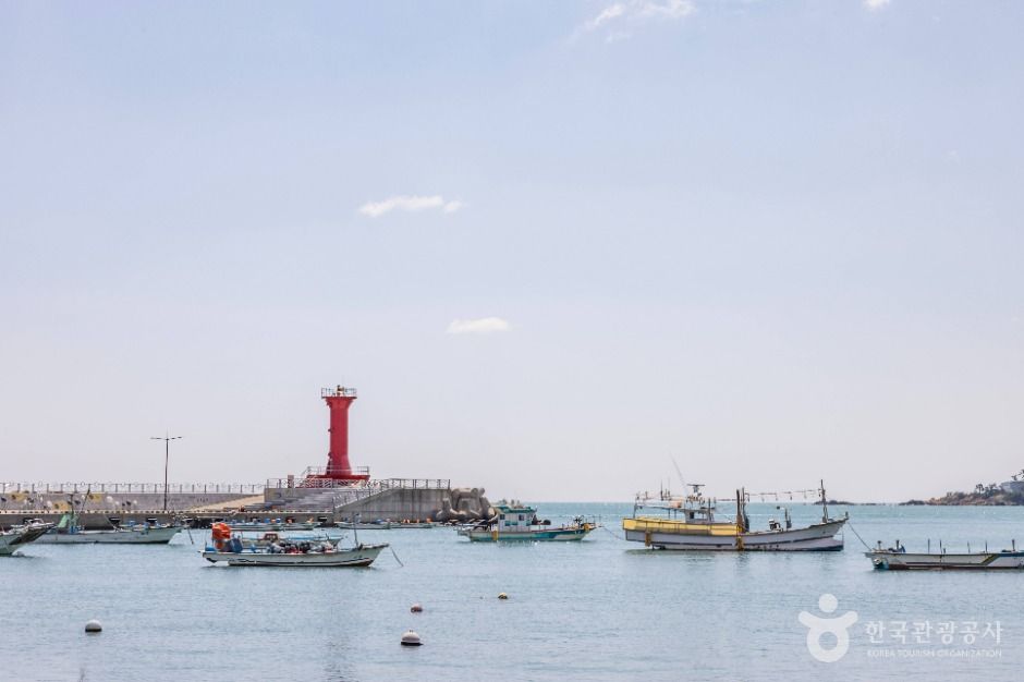 부산_이동항 (3)