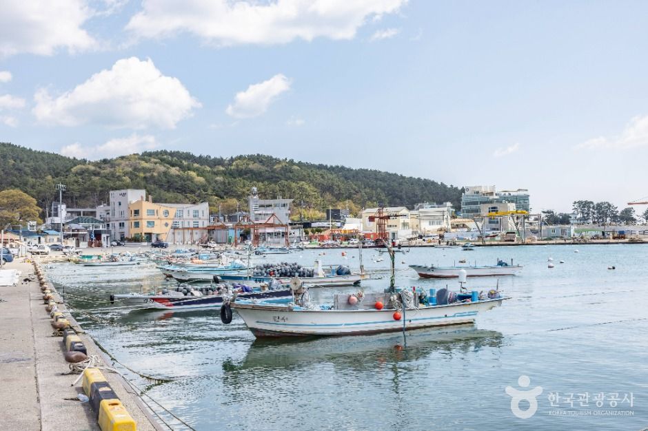 부산_이동항 (4)