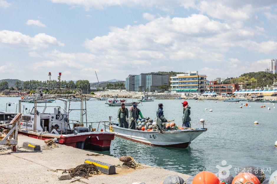 부산_이동항 (6)