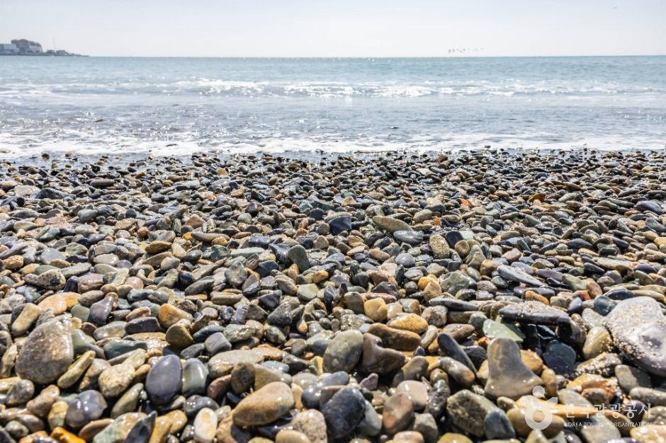 부산_임랑해수욕장 (8)