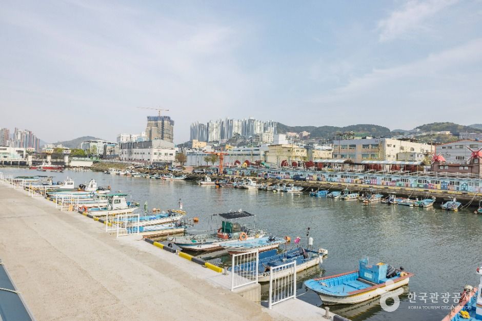 부산_장림포구 (8)