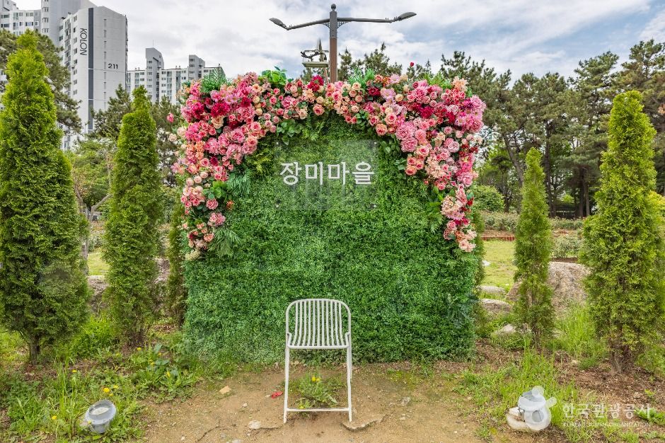 부산_장미원 (1)