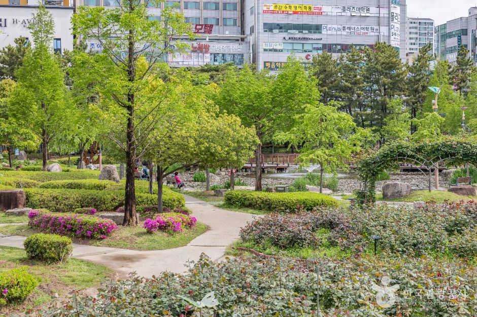 부산_장미원 (3)