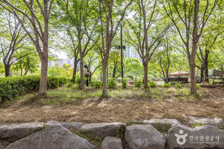 부산_장미원 (6)