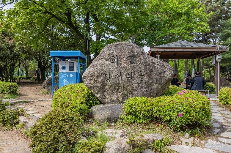 부산_장미원 (10)